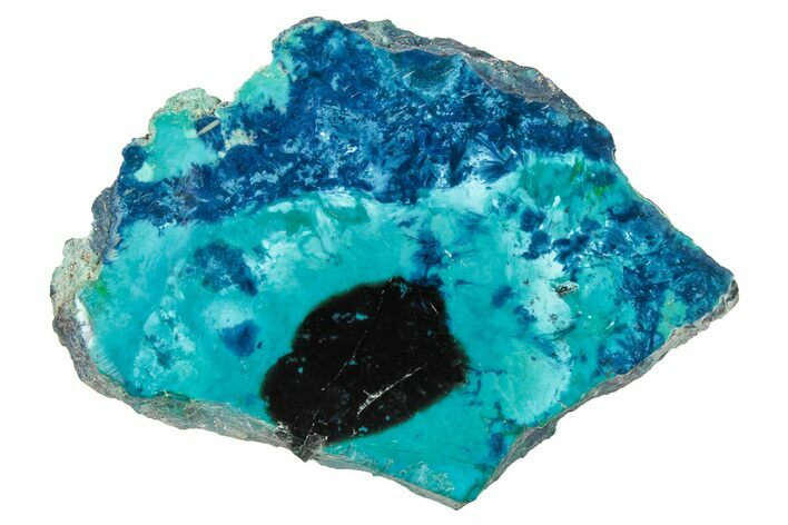 Vibrant Chrysocolla and Shattuckite Slab - Mexico #348729